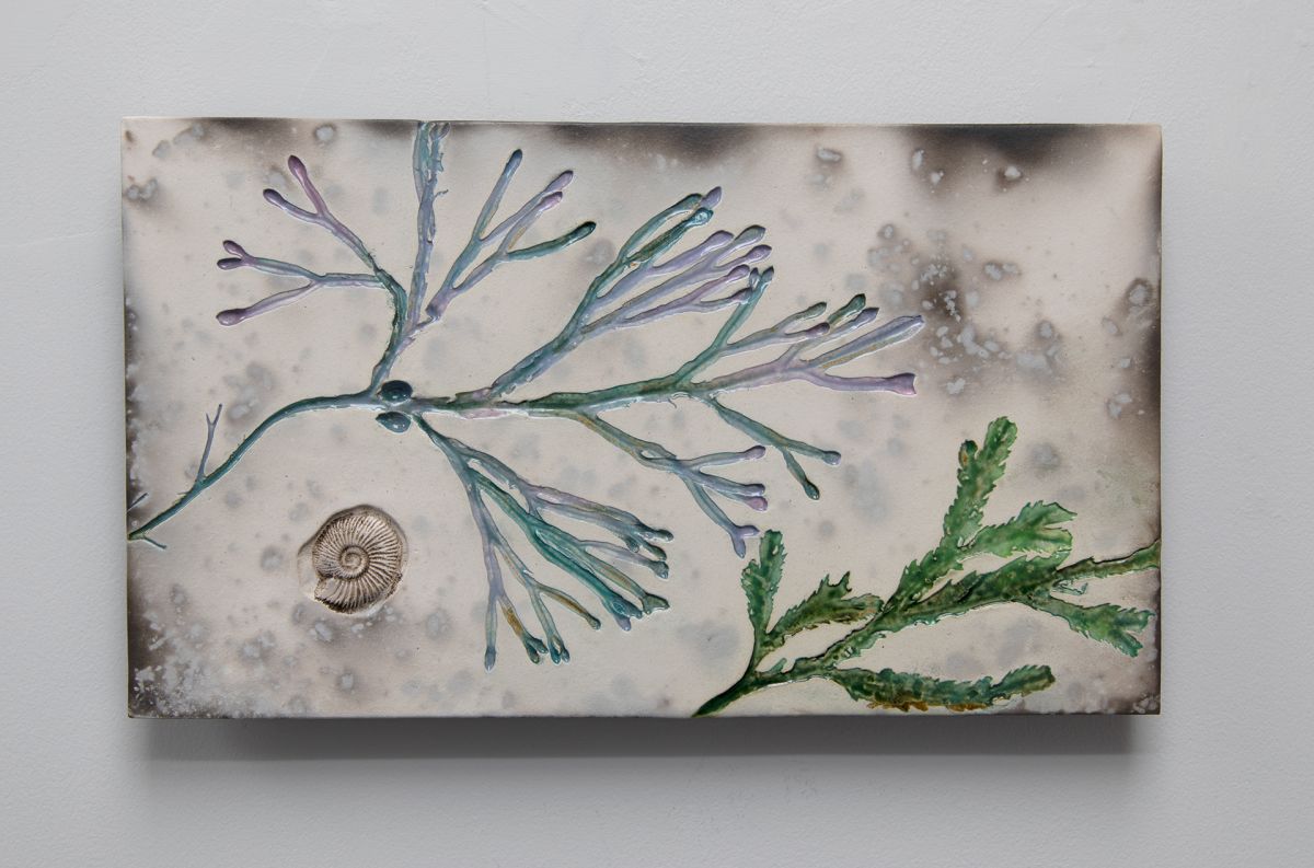 west coast seaweed I by helen michie