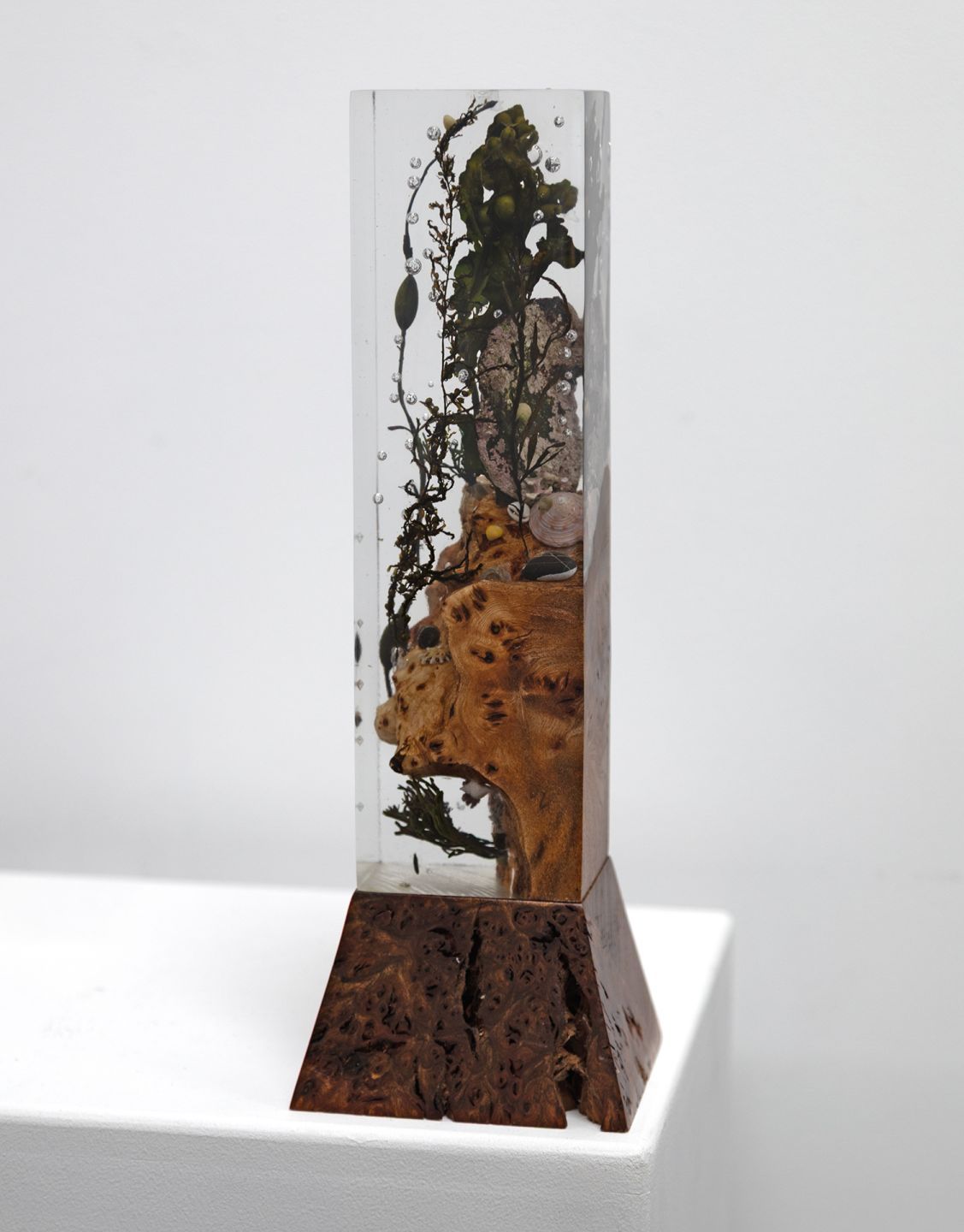 raffin by greig gilchrist