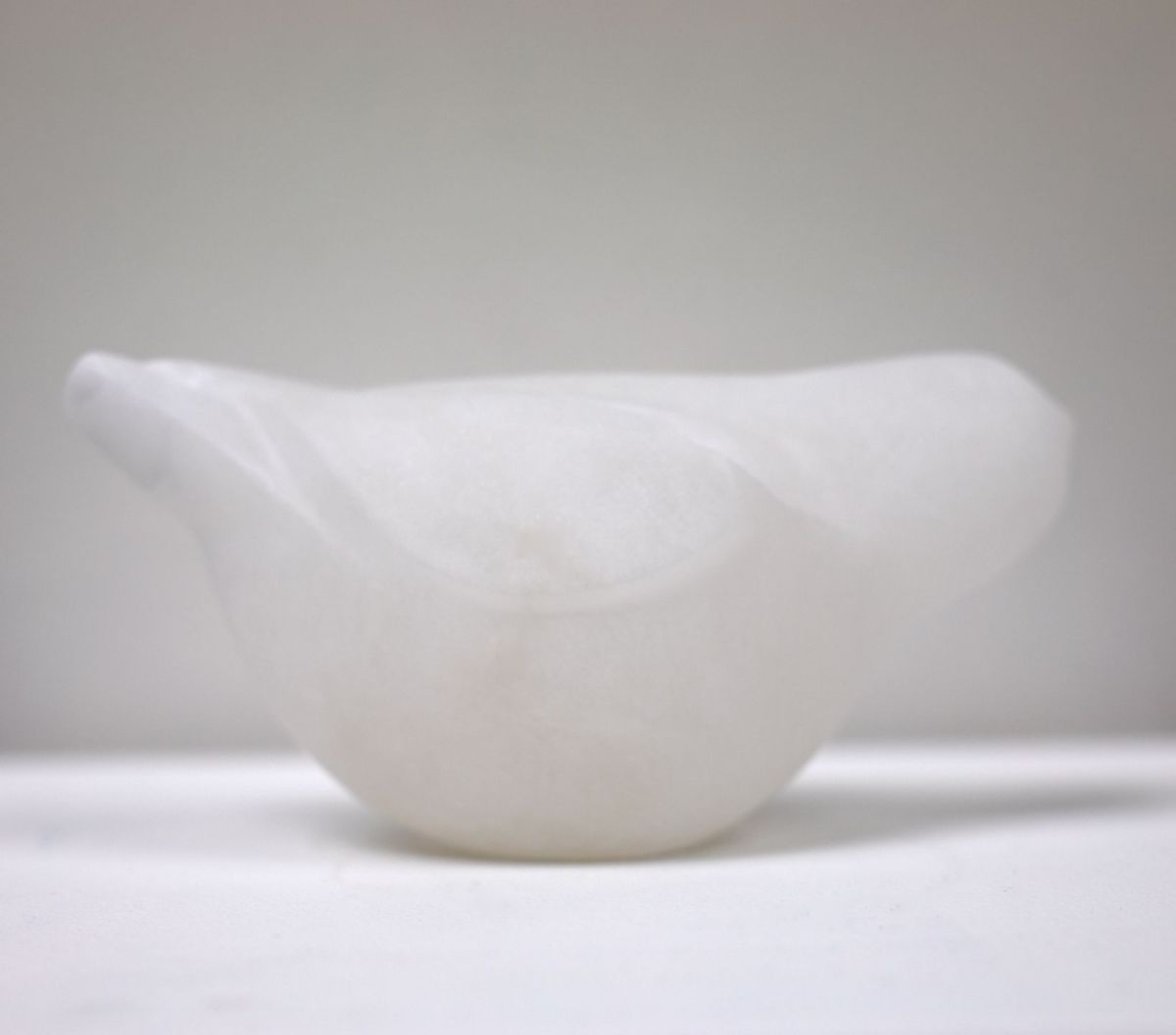 white bird by siobhan morison