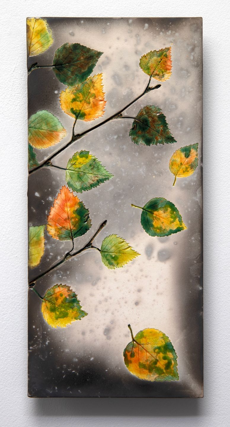 birch in autumn by helen michie