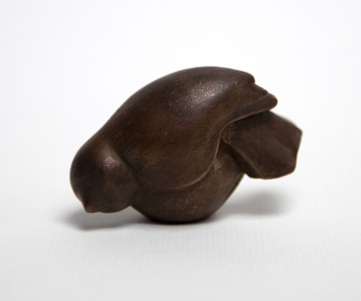 wee bird by siobhan morison