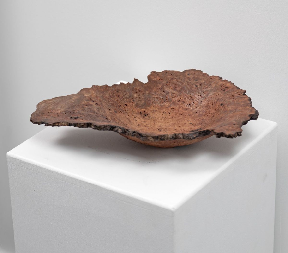 1933, elm burr morvern by John Hodgson