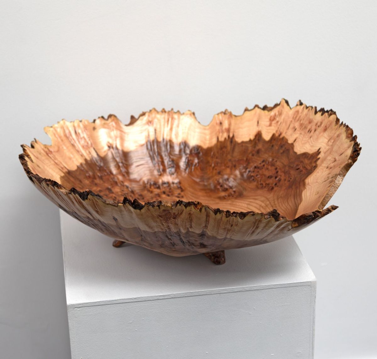 burr elm bowl iv by angus clyne