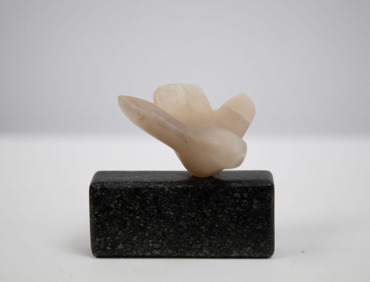 touch down by siobhan morison