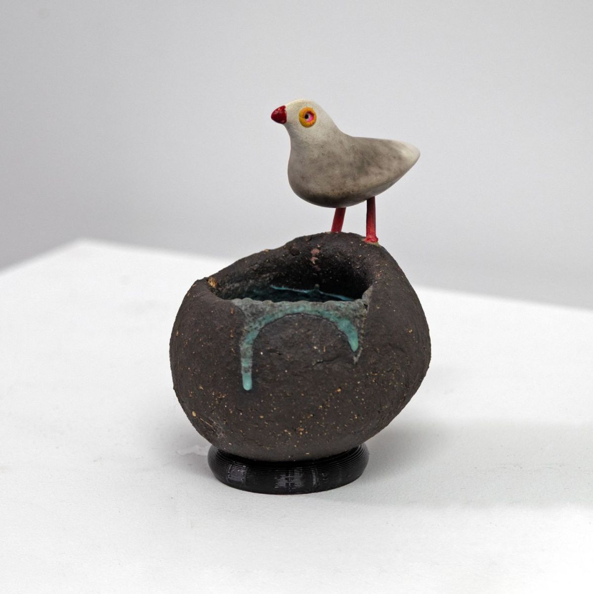 grey bird on black nest by Chris Barnes