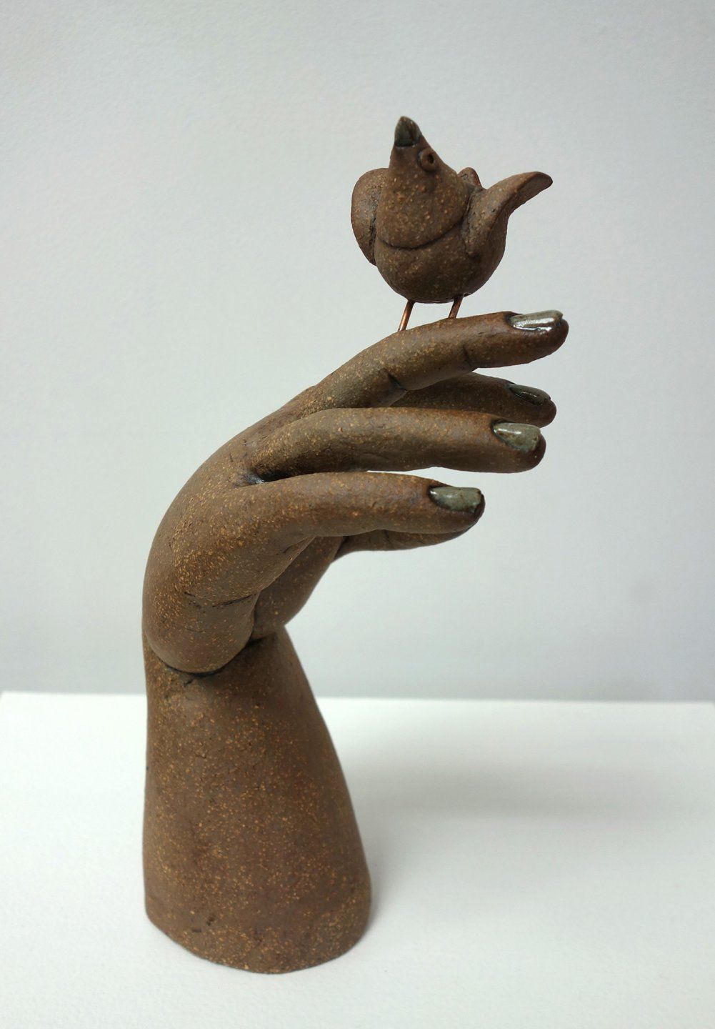 Hand with Perched Bird | Chris Barnes