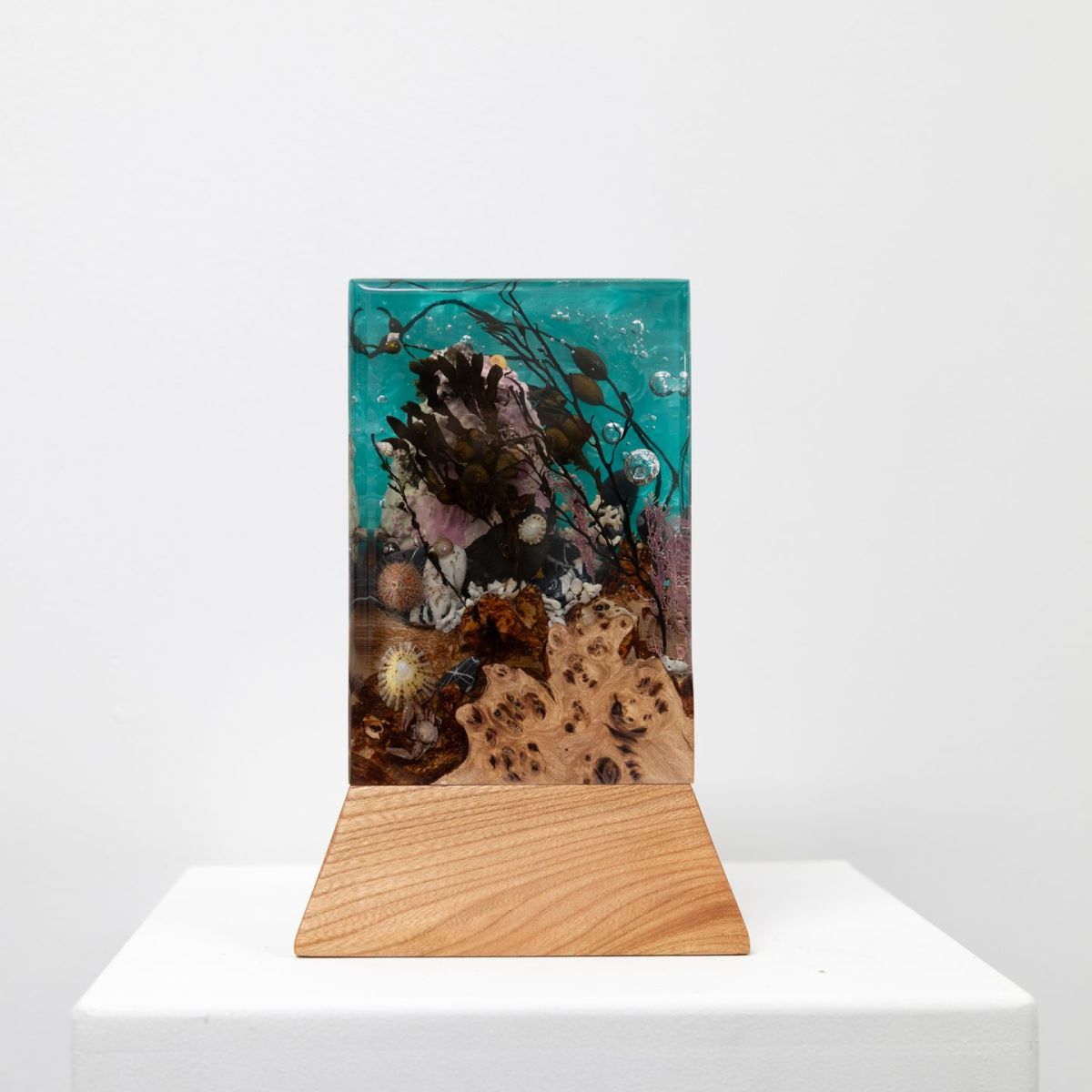 alligin shuas by Greig Gilchrist