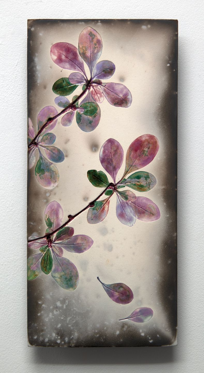 falling berberis by helen michie