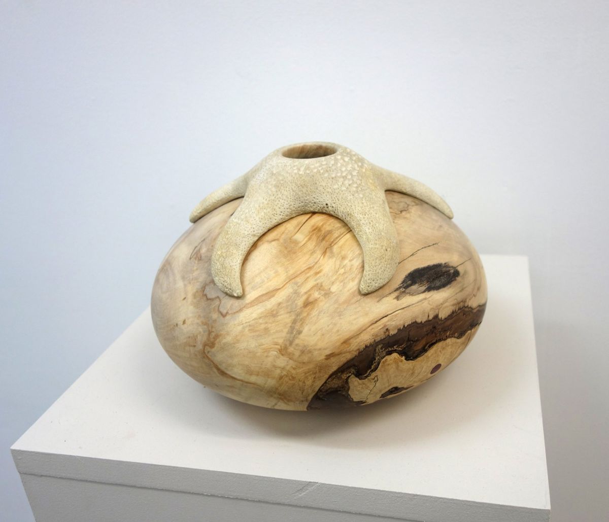 Rockstar | John Hodgson