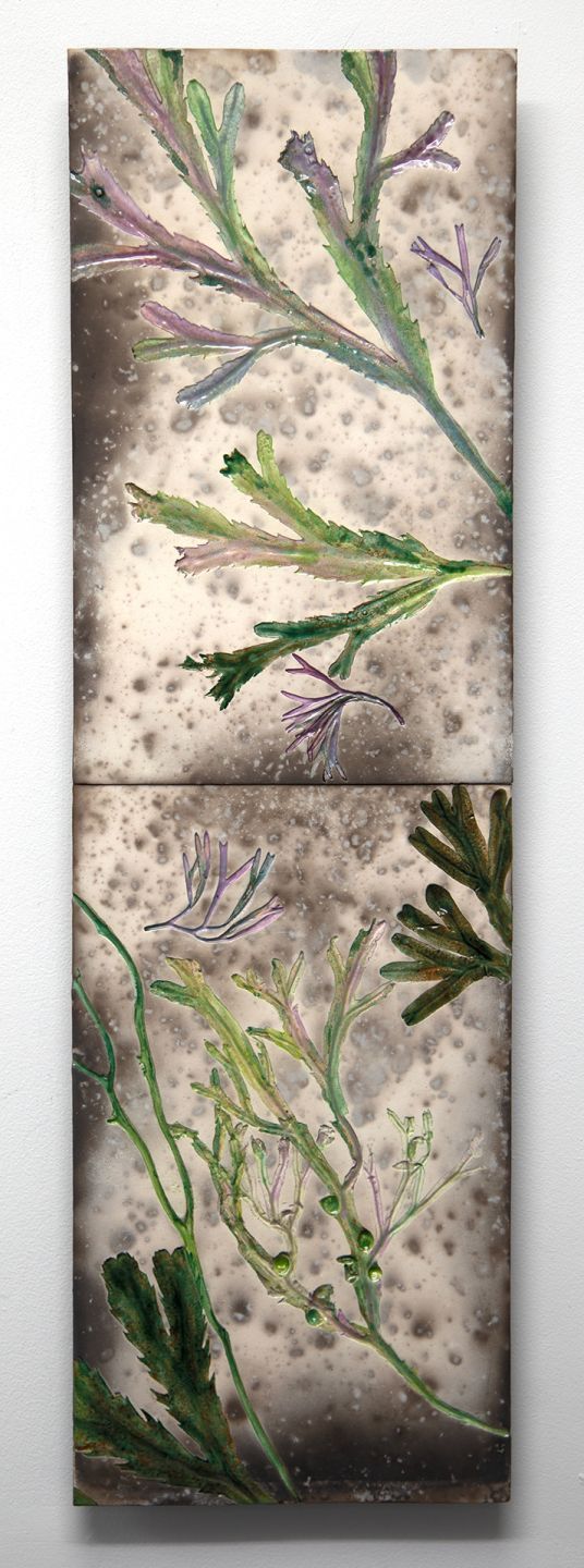 moidart coast seaweed by helen michie