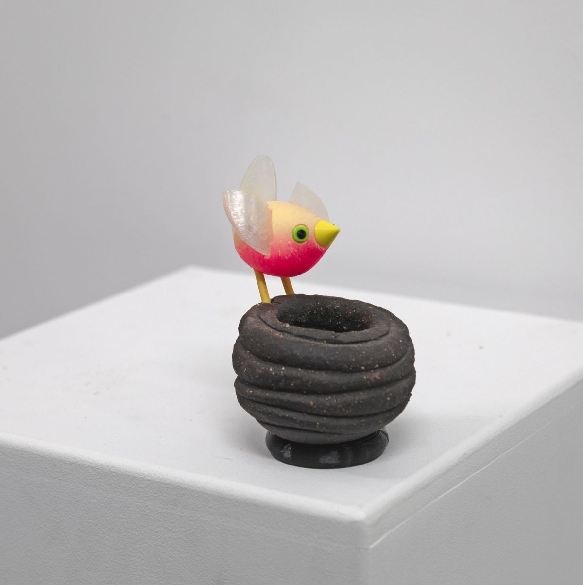 pink bird on black nest by Chris Barnes