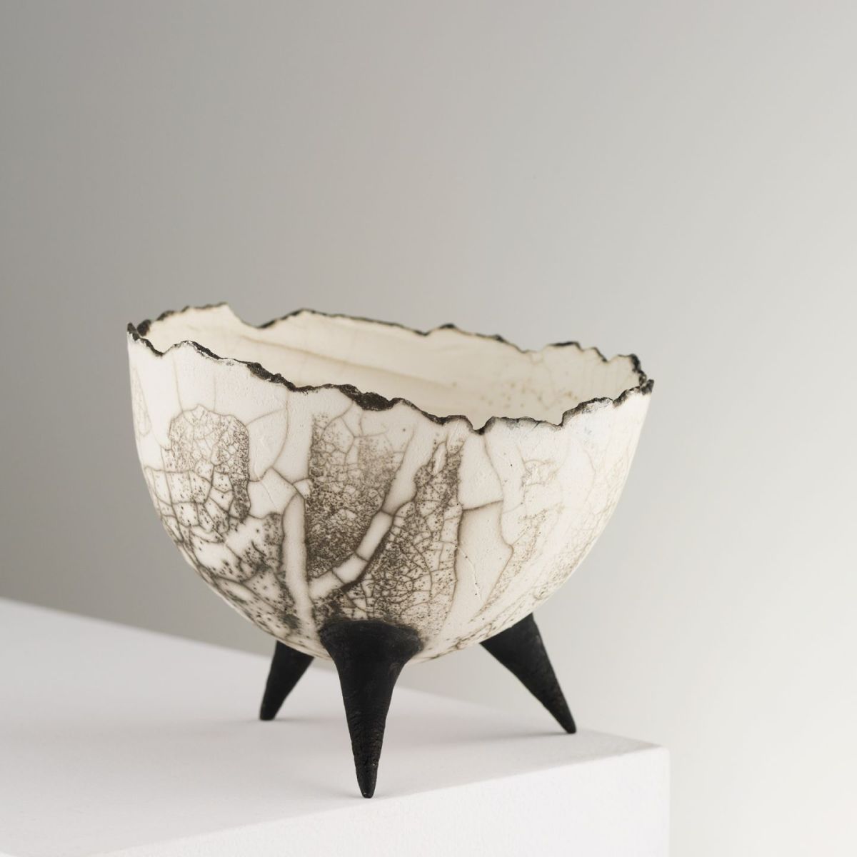 torn bowl I by shona jack