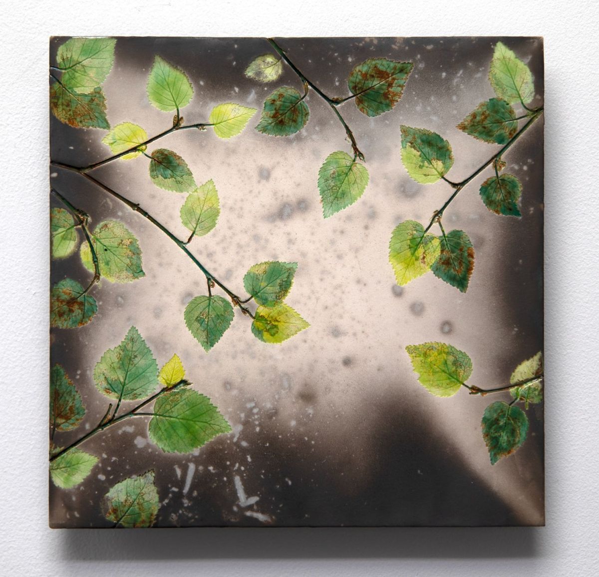 summer birch leaves II by helen michie