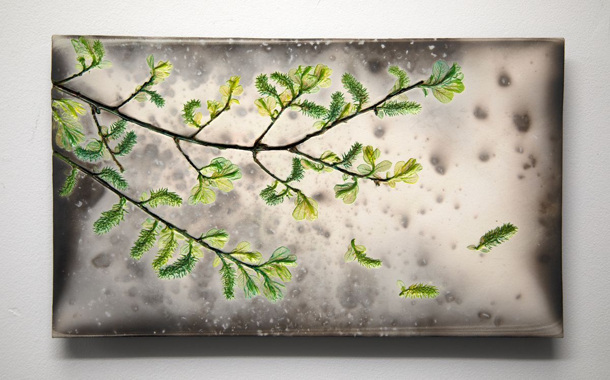 green willow by helen michie