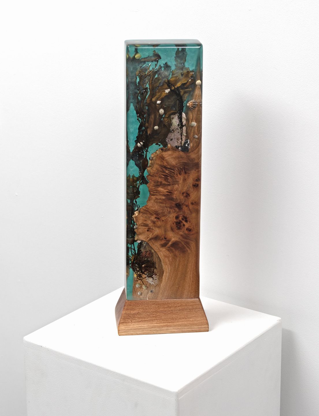 poll creadha by Greig Gilchrist