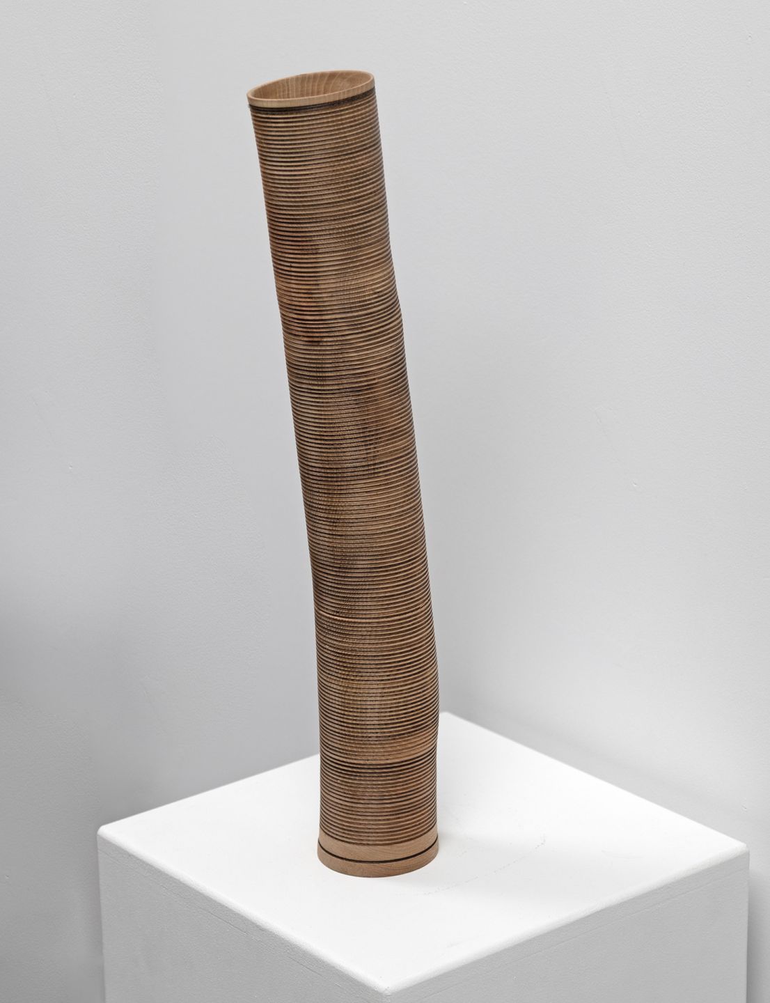 1942, wych elm morvern by John Hodgson