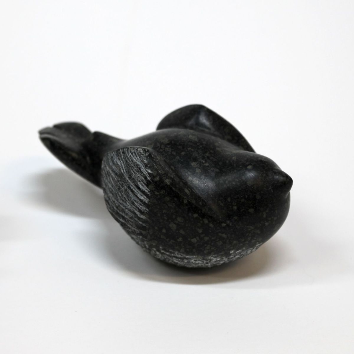 wee bird II by siobhan morison