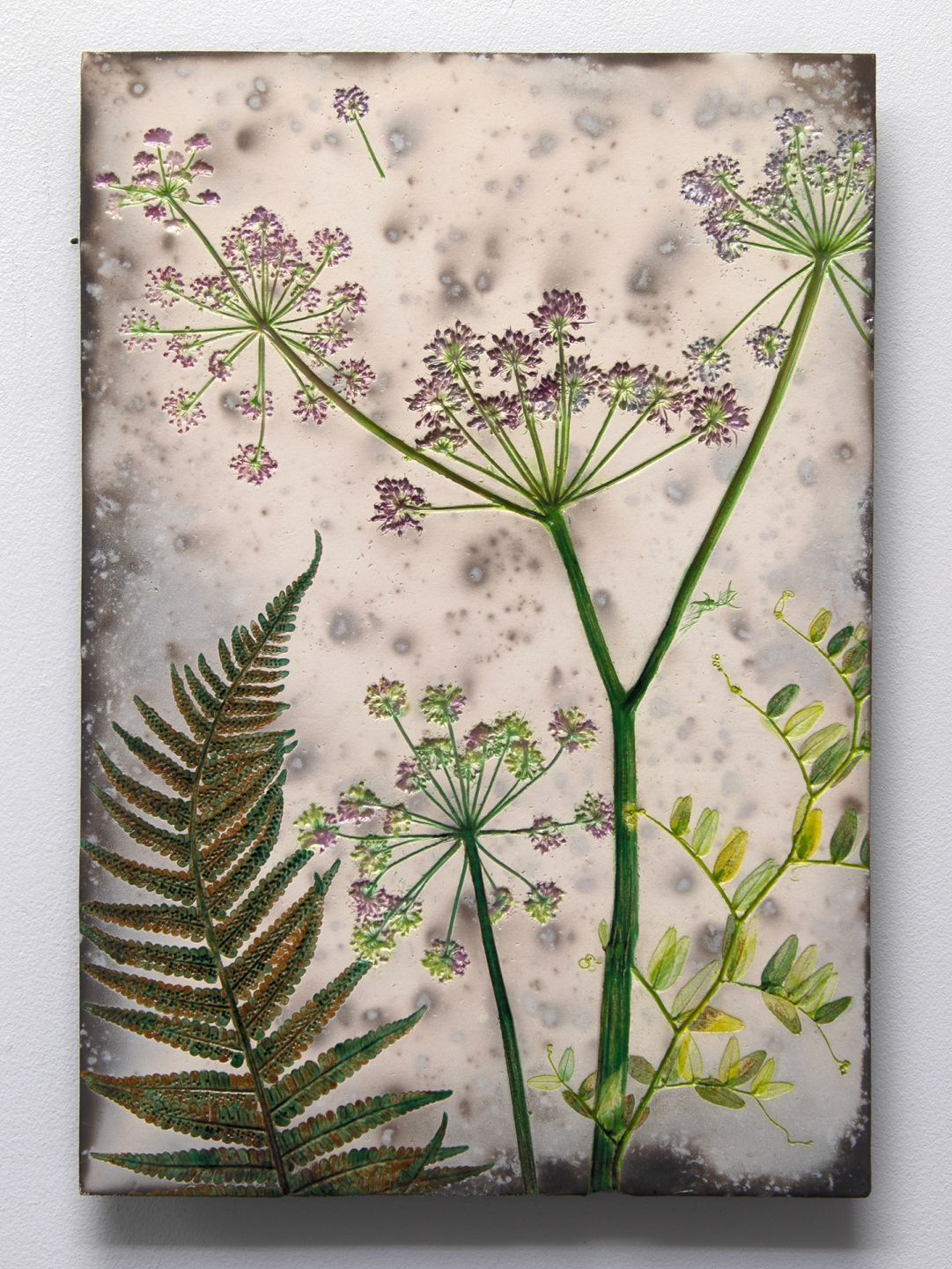 summer fern & cow parsley by helen michie