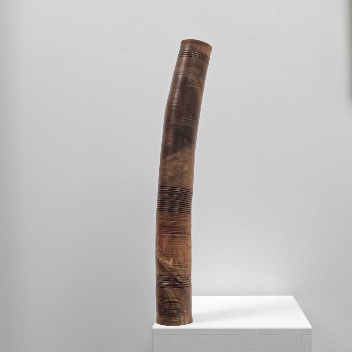 1944, wych elm morvern by John Hodgson