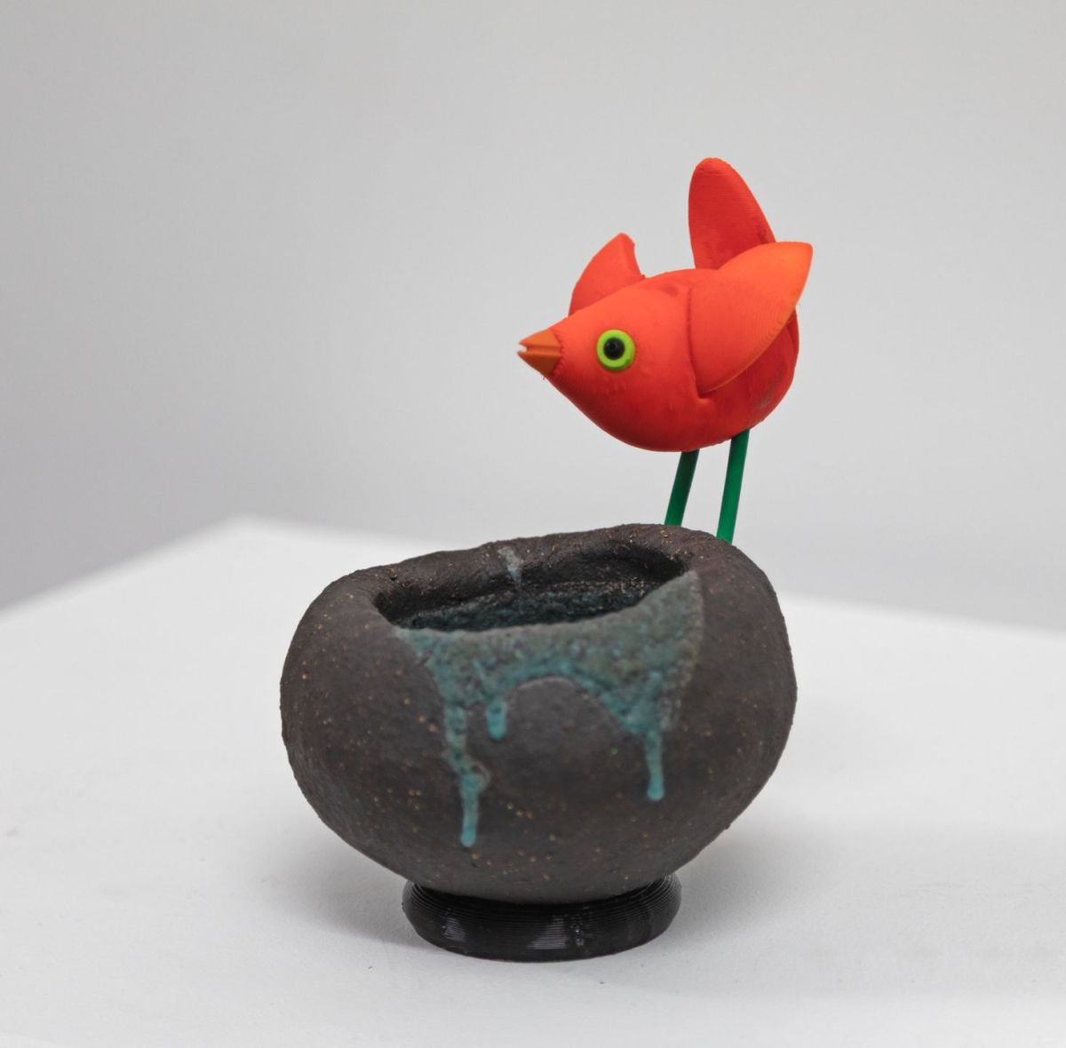 orange bird on black nest II by Chris Barnes