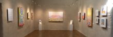 elemental plants by kirsty lorenz in the main gallery space