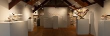We Are Not Untouchable - Lucy Gray & Leonie Charlton - in our upstairs gallery space